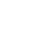 Mother Of Elephants Elephant