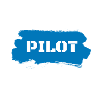 Drohnenpilot