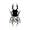 Hirschkäfer