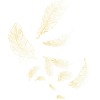 feathers fluttering