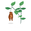 Je suis un ours