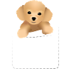 Poodle in a Pocket