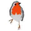 Robin