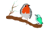 Pretty robin on a branch