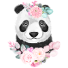Panda Flower