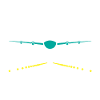 Plane.