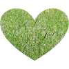 Grass heart