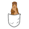 Otter Tasche Seeotter Wiesel Bauchtasche