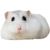 Hamster peint épique