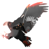 Immortal Eagle