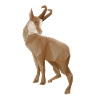 Chamois