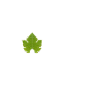 Chasselas, ou bien ?