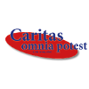 Caritas omnia potest