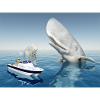 Holiday experience with sperm whales