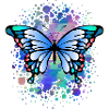 Schmetterling