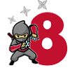 Ninja 8 year gift