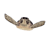 turtle 2