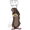 Chef rat.