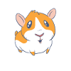 Guinea pig