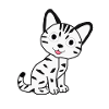Chat