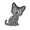Chat