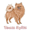 Team Spitz