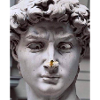 David by Michelangelo
