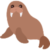 walrus