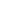 Oiseau WiFi Wifi Drôle