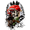 Fly agaric