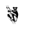 Babakoto