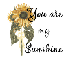 Tu es mon soleil tournesol