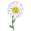 daisy