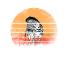 Retro zebra