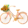 bicycle e 118