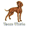 Team vizsla