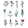 Different wildflowers
