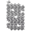 Repeated monochrome fish