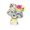 Waschbär