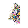 Katze