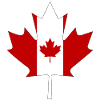 Vlag van Canada als esdoornblad met zwart frame