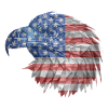 American Eagle
