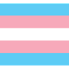 Transgender Pride