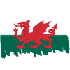 Wales National Flag - brush vertical