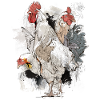 Rooster