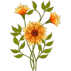 fleurs