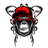 Drum and Bass cool monkey with hat music