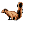 Oachkatzlschoaß