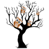 Chouette noctambule sur arbre