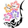 Stammeshai Hibiskus
